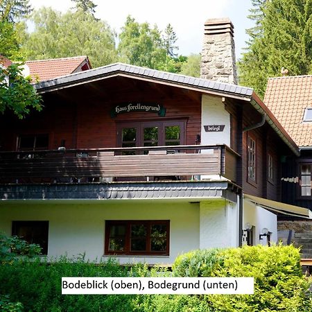 Ferienwohnungen Forellengrund 施尔奇 外观 照片