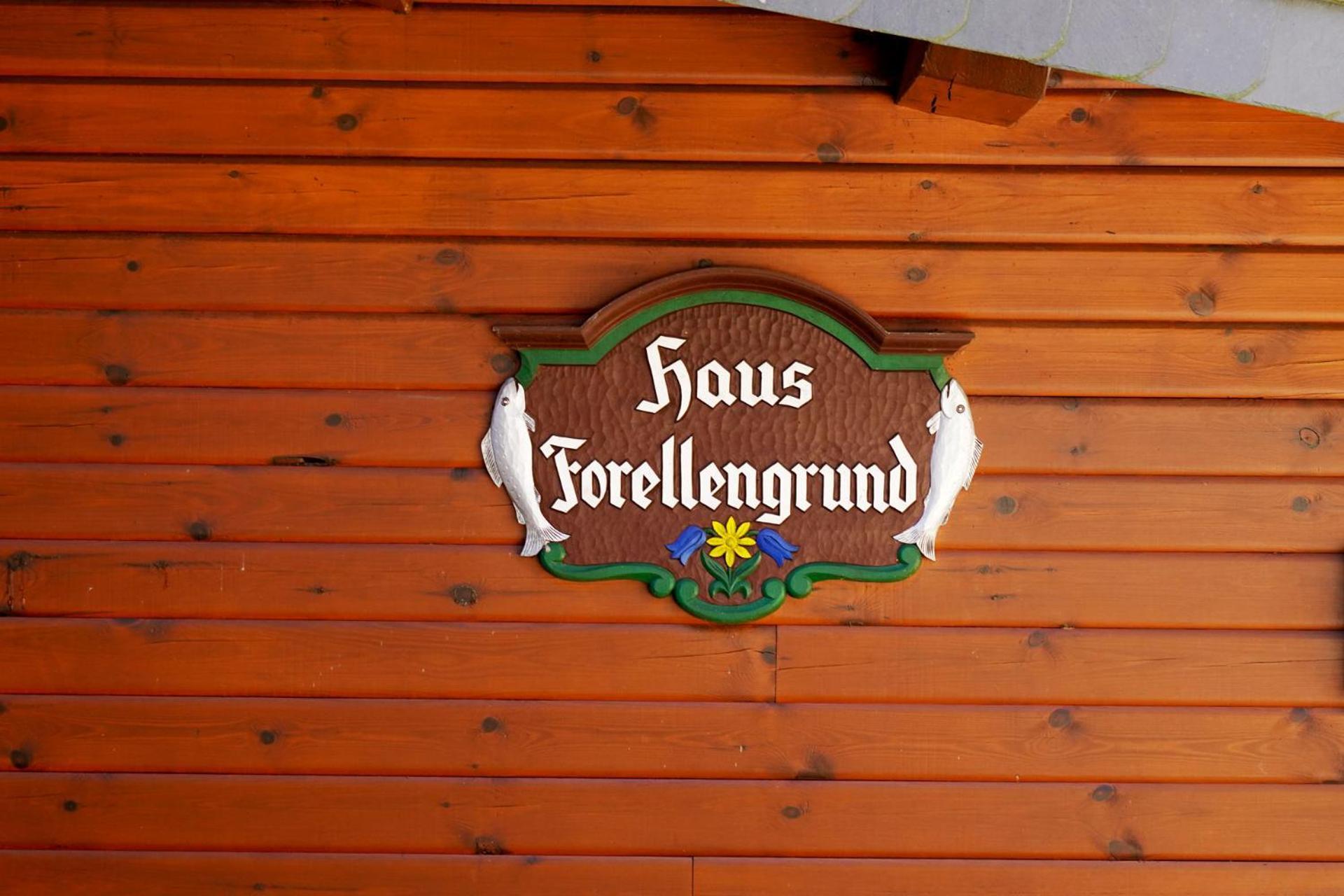 Ferienwohnungen Forellengrund 施尔奇 外观 照片