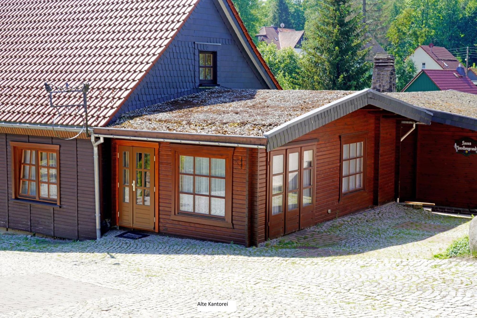 Ferienwohnungen Forellengrund 施尔奇 外观 照片